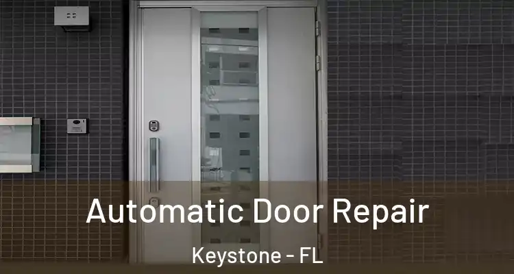  Automatic Door Repair Keystone - FL