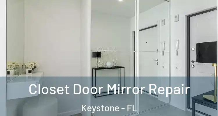  Closet Door Mirror Repair Keystone - FL