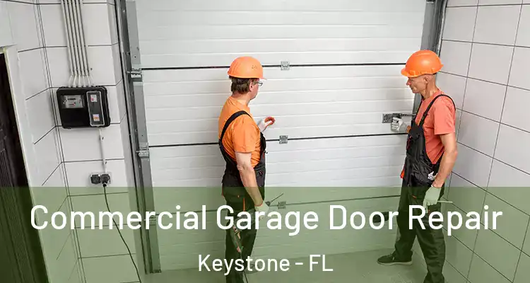  Commercial Garage Door Repair Keystone - FL