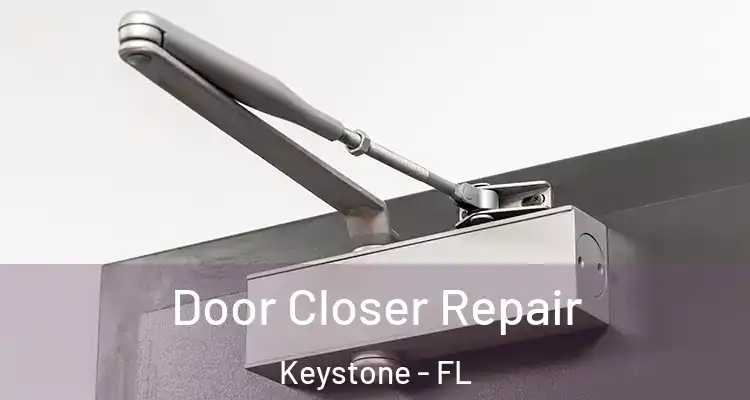  Door Closer Repair Keystone - FL