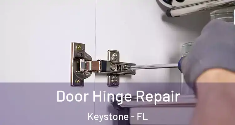  Door Hinge Repair Keystone - FL