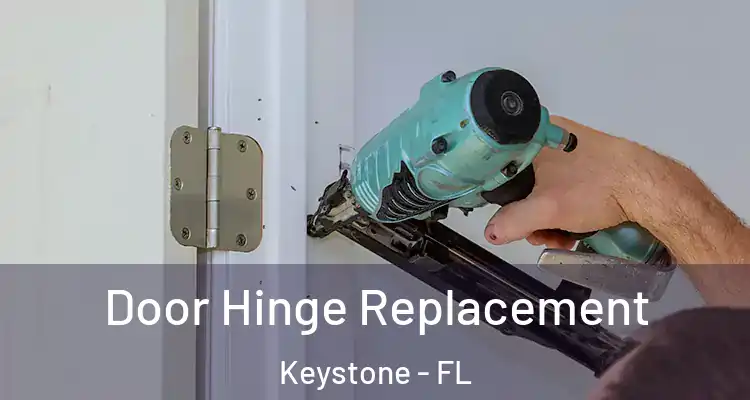  Door Hinge Replacement Keystone - FL