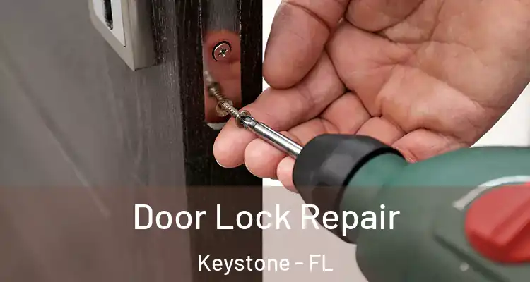  Door Lock Repair Keystone - FL