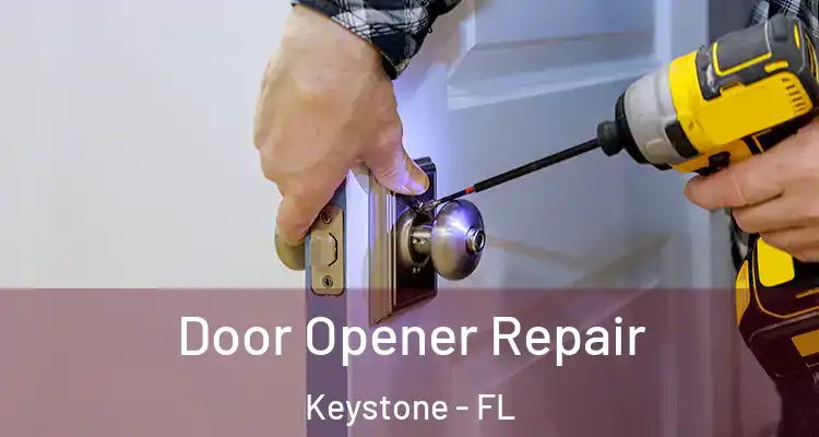  Door Opener Repair Keystone - FL