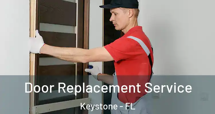  Door Replacement Service Keystone - FL