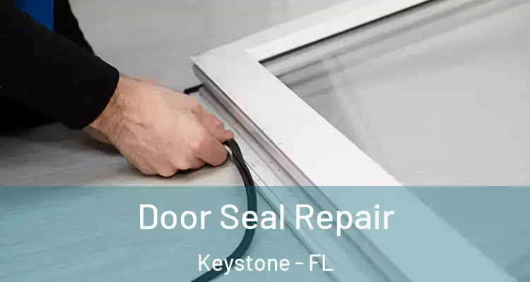  Door Seal Repair Keystone - FL
