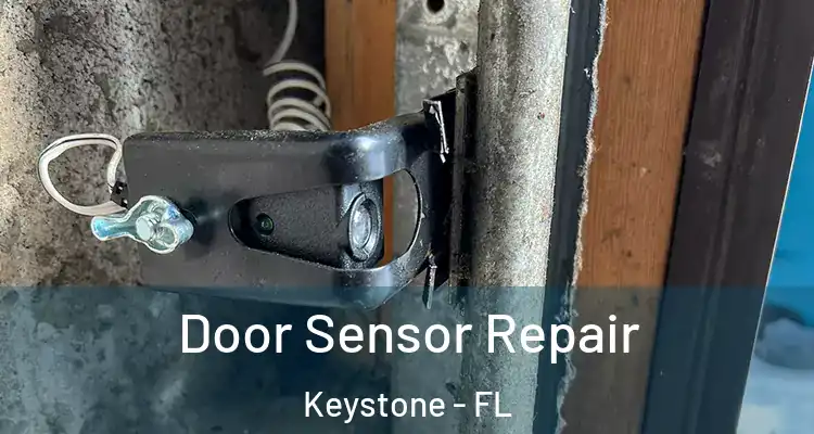  Door Sensor Repair Keystone - FL