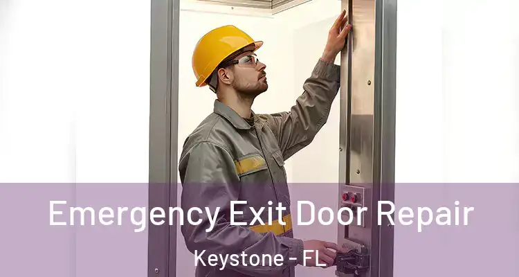  Emergency Exit Door Repair Keystone - FL