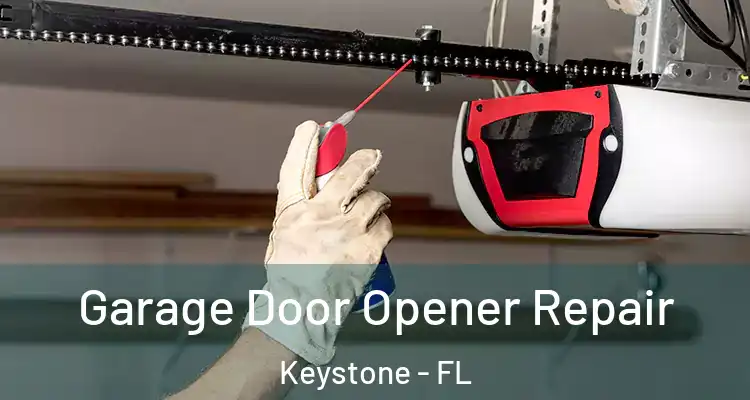  Garage Door Opener Repair Keystone - FL
