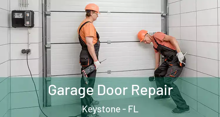  Garage Door Repair Keystone - FL