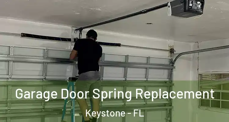  Garage Door Spring Replacement Keystone - FL