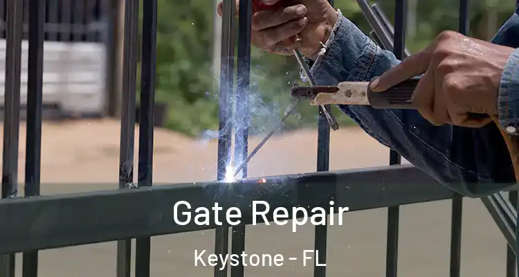  Gate Repair Keystone - FL