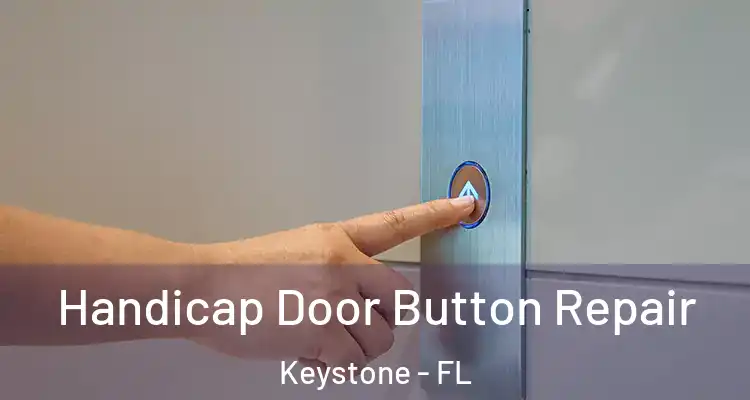  Handicap Door Button Repair Keystone - FL