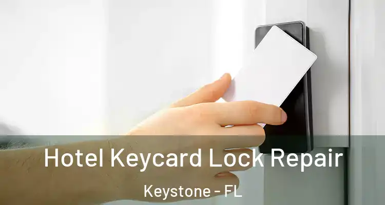  Hotel Keycard Lock Repair Keystone - FL