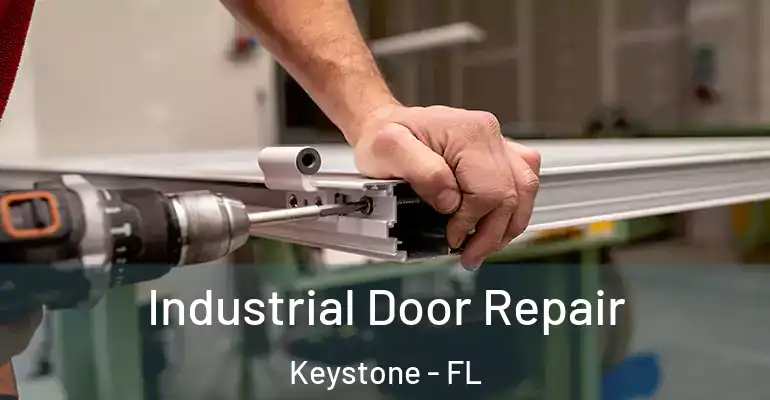 Industrial Door Repair Keystone - FL