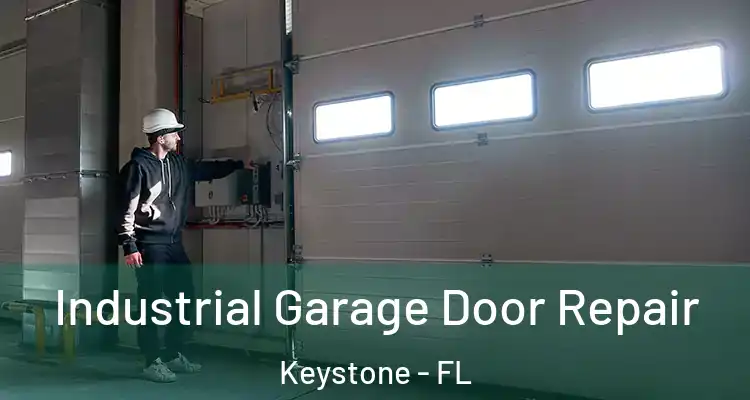  Industrial Garage Door Repair Keystone - FL