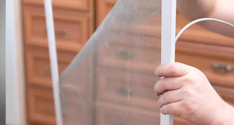 Privacy Mesh Screen Door Installation in Keystone, FL