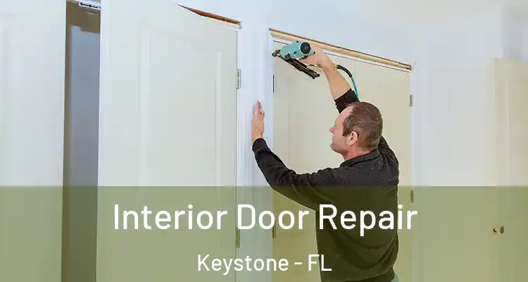  Interior Door Repair Keystone - FL