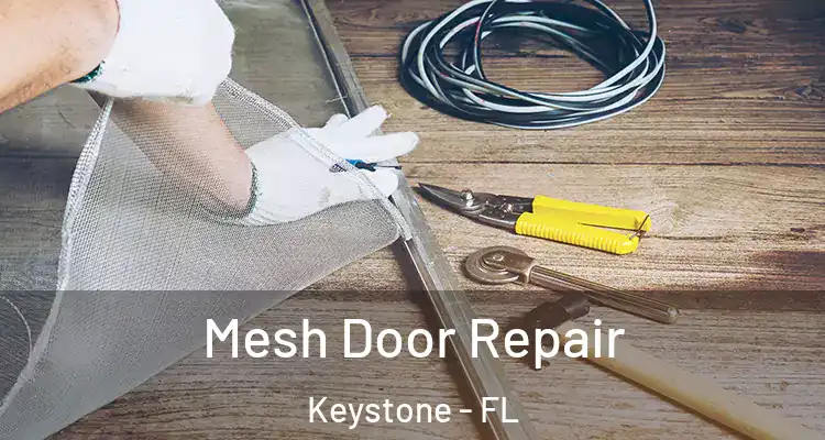  Mesh Door Repair Keystone - FL