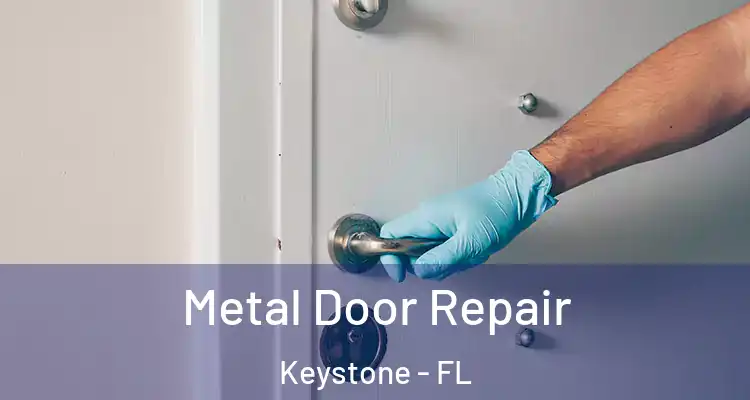  Metal Door Repair Keystone - FL