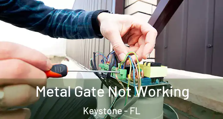  Metal Gate Not Working Keystone - FL