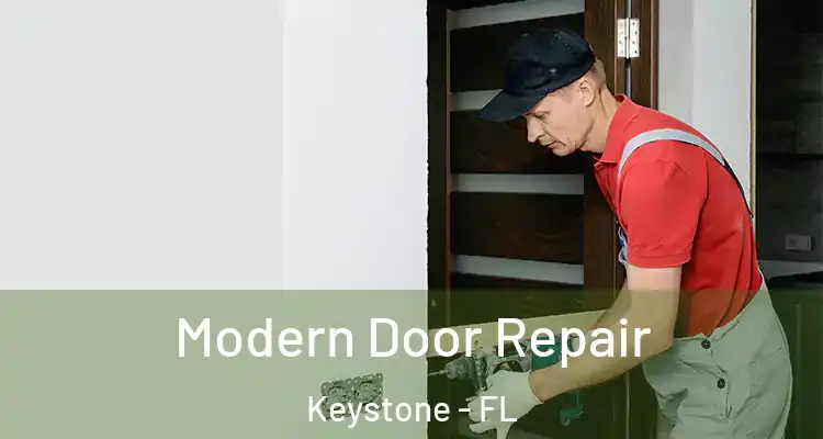  Modern Door Repair Keystone - FL