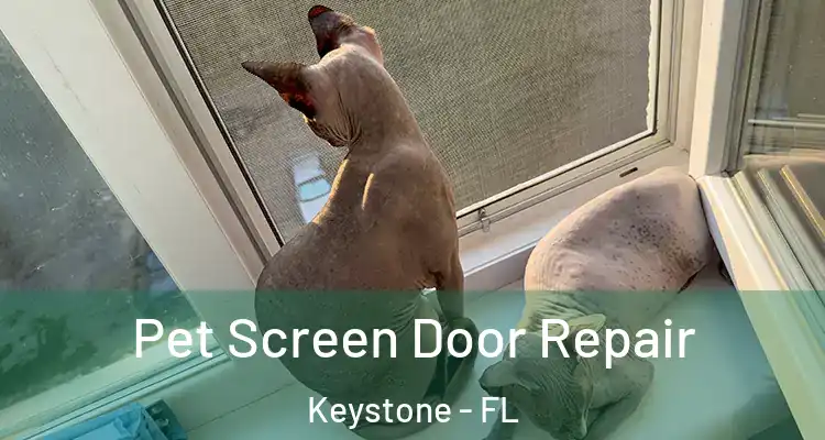  Pet Screen Door Repair Keystone - FL