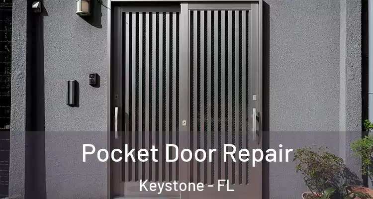  Pocket Door Repair Keystone - FL