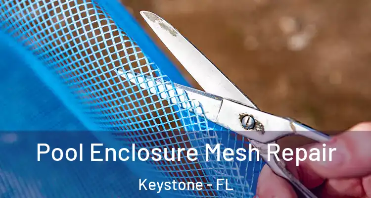  Pool Enclosure Mesh Repair Keystone - FL