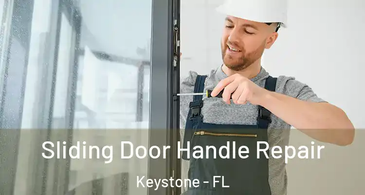  Sliding Door Handle Repair Keystone - FL