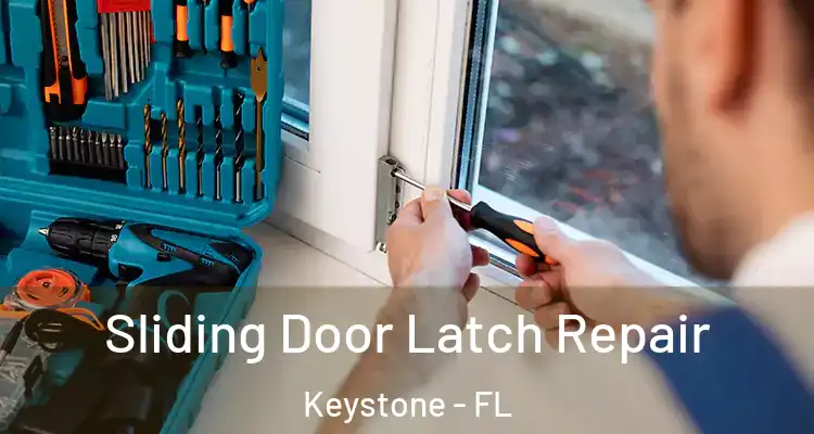  Sliding Door Latch Repair Keystone - FL