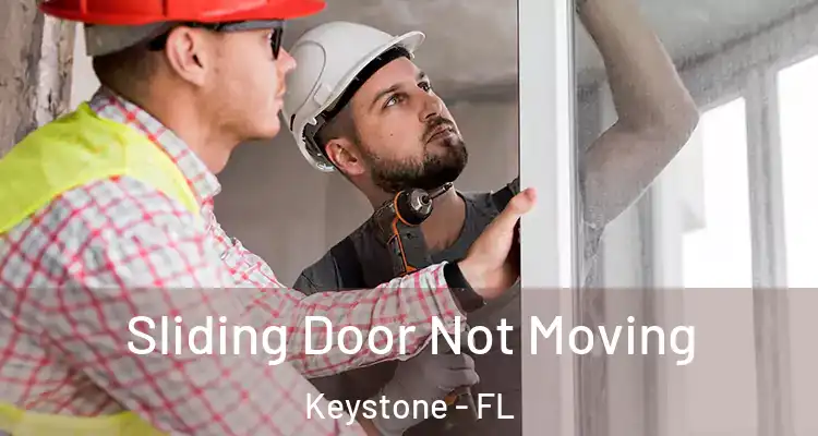  Sliding Door Not Moving Keystone - FL