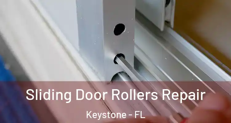  Sliding Door Rollers Repair Keystone - FL