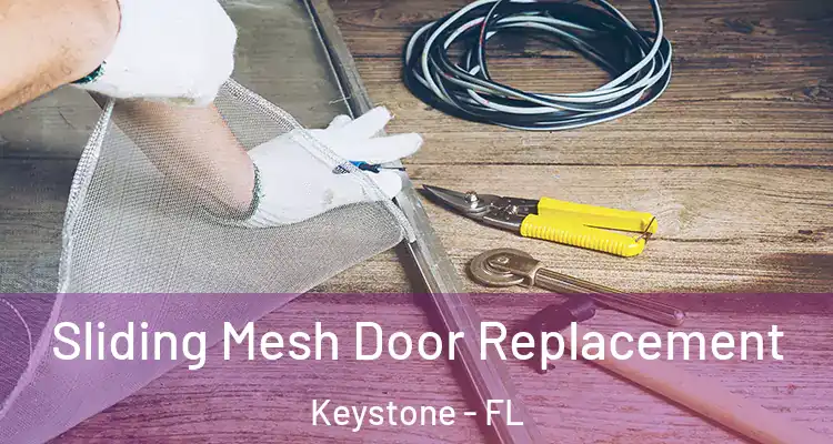  Sliding Mesh Door Replacement Keystone - FL