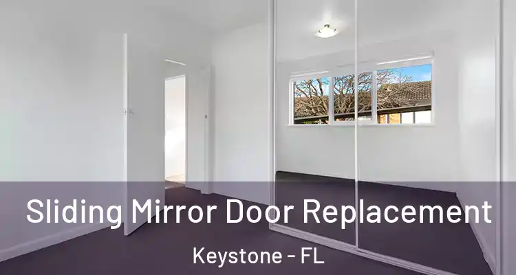  Sliding Mirror Door Replacement Keystone - FL