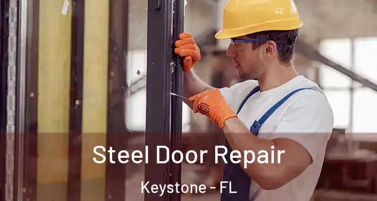  Steel Door Repair Keystone - FL