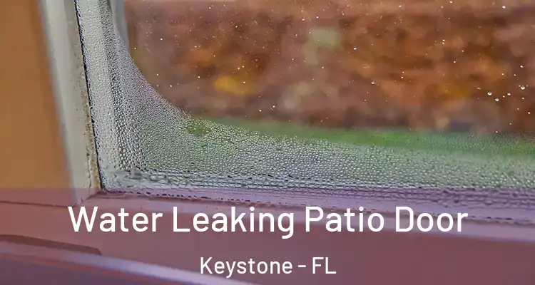  Water Leaking Patio Door Keystone - FL