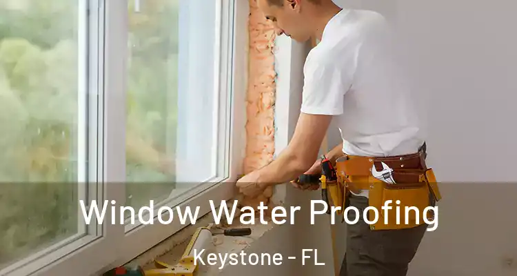  Window Water Proofing Keystone - FL