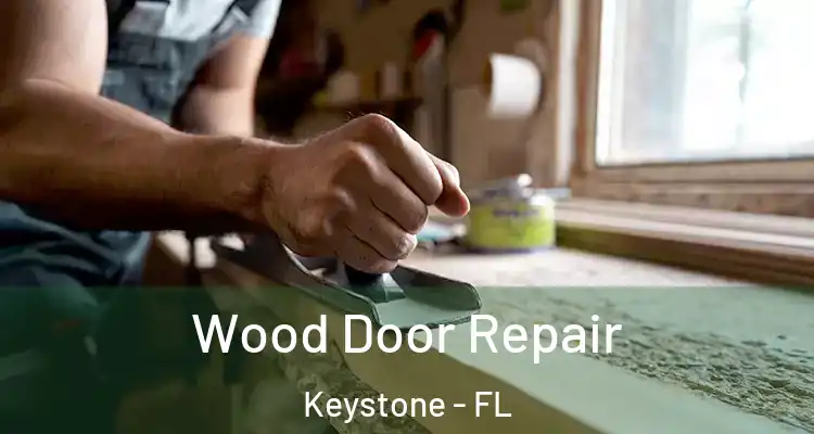  Wood Door Repair Keystone - FL